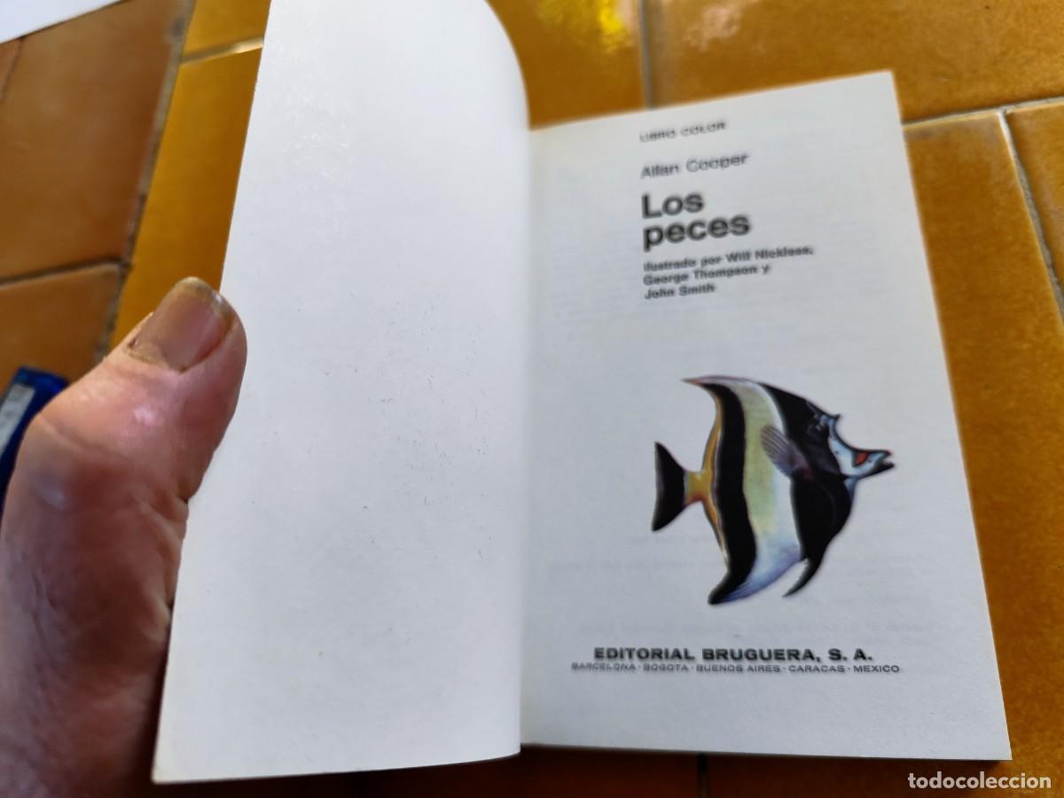 Libros de segunda mano: LOS PECES / ALLAN COOPER / CJA 371 / BRUGUERA - Foto 5