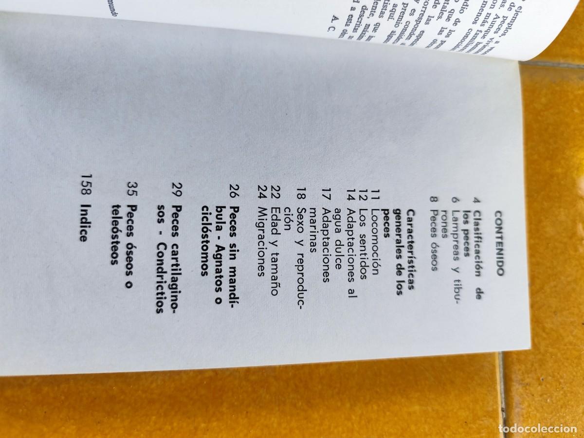 Libros de segunda mano: LOS PECES / ALLAN COOPER / CJA 371 / BRUGUERA - Foto 7