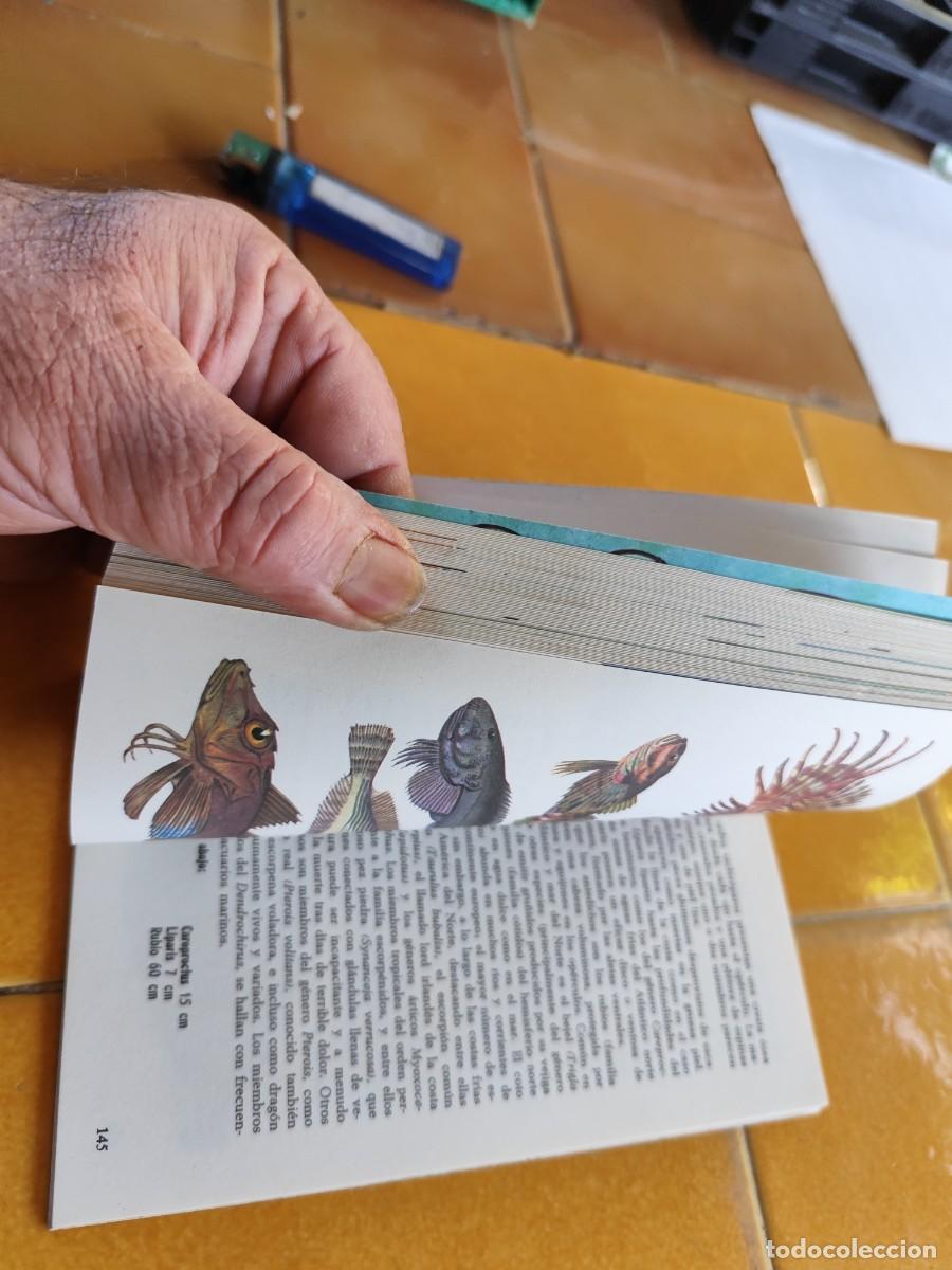 Libros de segunda mano: LOS PECES / ALLAN COOPER / CJA 371 / BRUGUERA - Foto 8