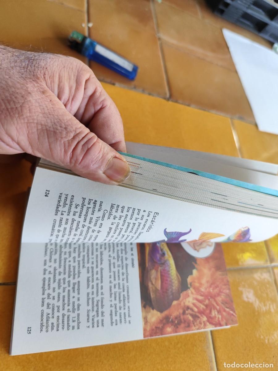Libros de segunda mano: LOS PECES / ALLAN COOPER / CJA 371 / BRUGUERA - Foto 9
