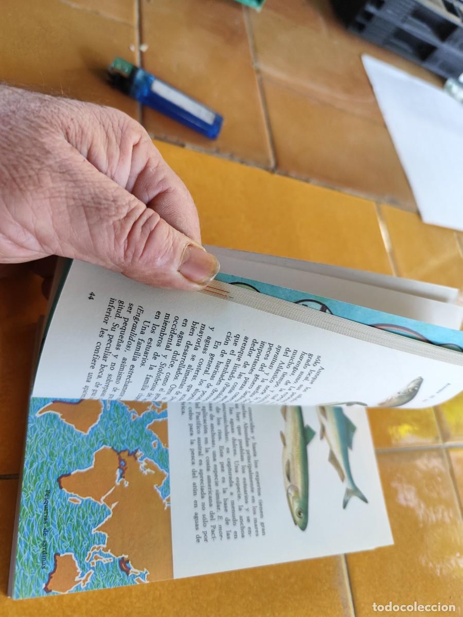 Libros de segunda mano: LOS PECES / ALLAN COOPER / CJA 371 / BRUGUERA - Foto 12