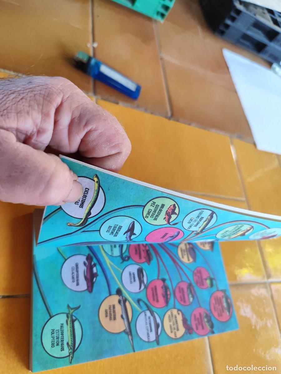 Libros de segunda mano: LOS PECES / ALLAN COOPER / CJA 371 / BRUGUERA - Foto 13