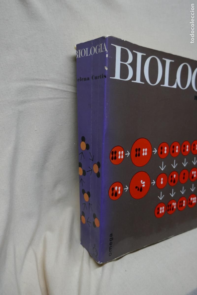 Libros de segunda mano: HELENA CURTIS - BIOLOG&Iacute;A (OMEGA) - Foto 2
