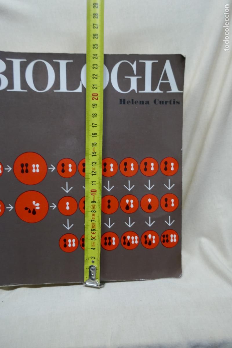 Libros de segunda mano: HELENA CURTIS - BIOLOG&Iacute;A (OMEGA) - Foto 5