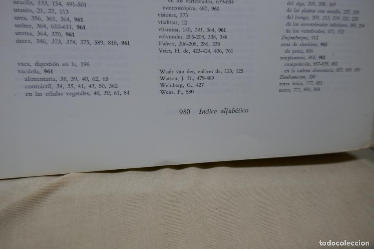 Libros de segunda mano: HELENA CURTIS - BIOLOG&Iacute;A (OMEGA) - Foto 15