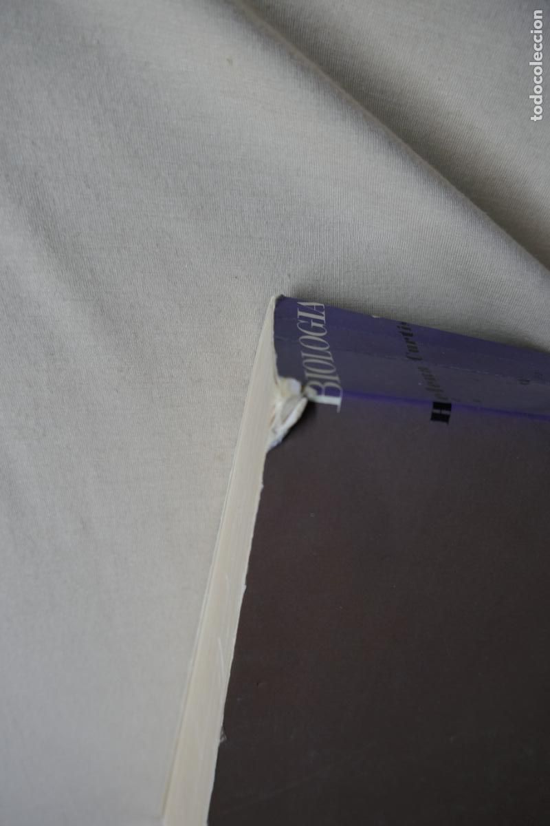 Libros de segunda mano: HELENA CURTIS - BIOLOG&Iacute;A (OMEGA) - Foto 17