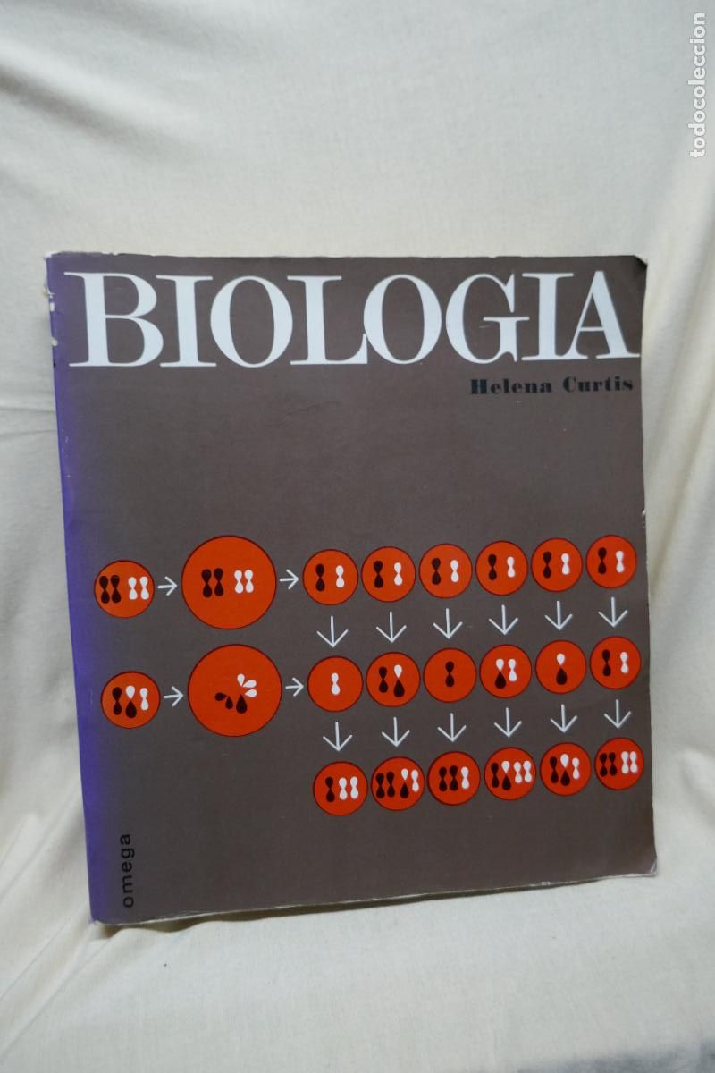 Libros de segunda mano: HELENA CURTIS - BIOLOG&Iacute;A (OMEGA) - Foto 1