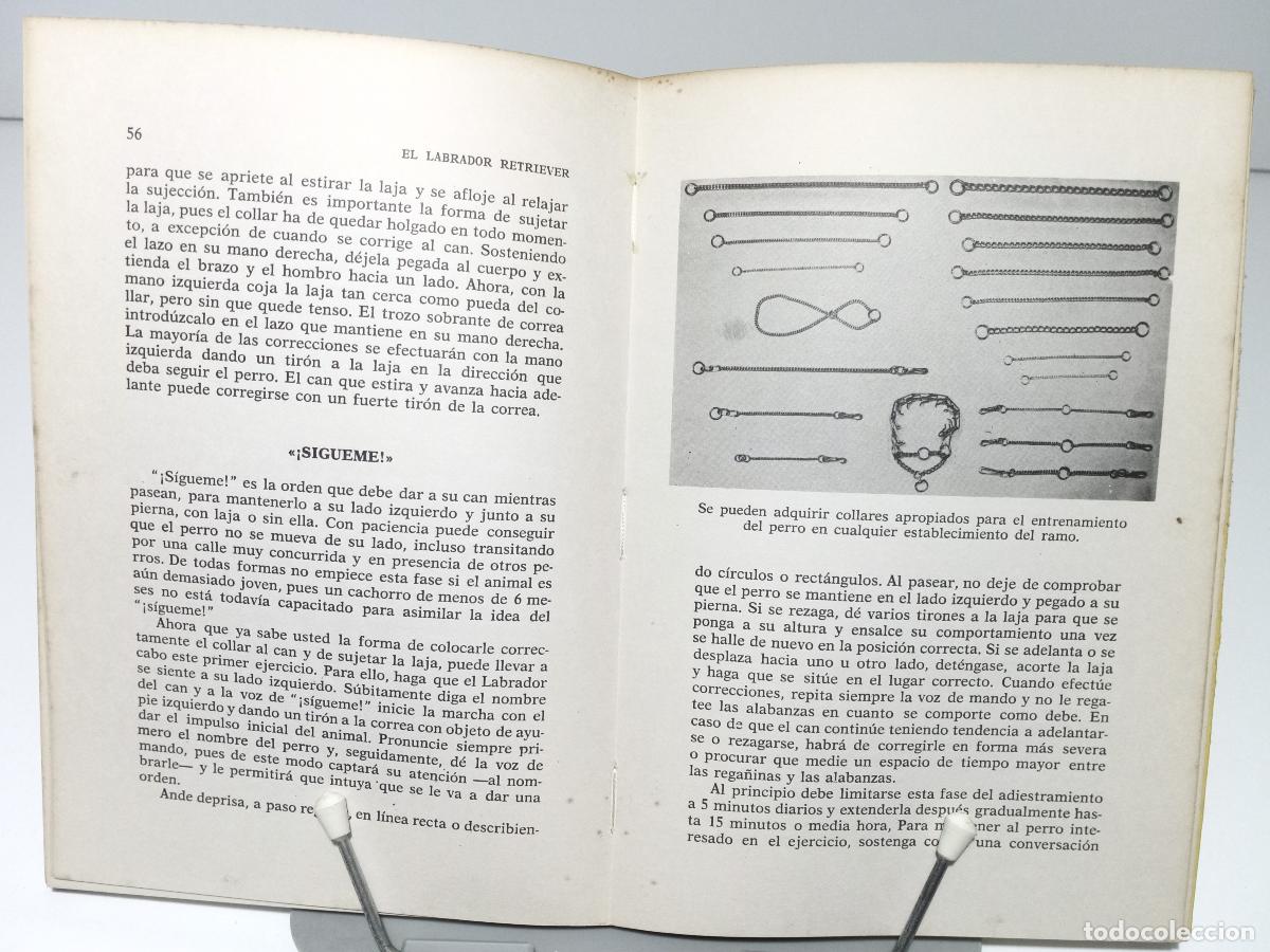 Libros de segunda mano: El labrador Retriever - Henschel, Stan - Foto 3