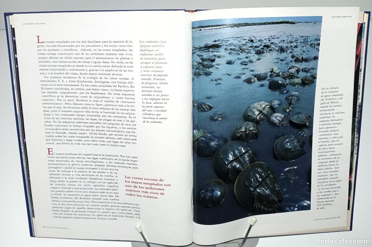 Libros de segunda mano: Los reinos del mar - Brower, Kenneth - Foto 3