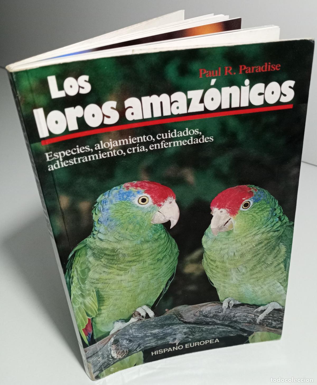 Libros de segunda mano: Los loros amazonicos - R. Paradise, Paul - Foto 2