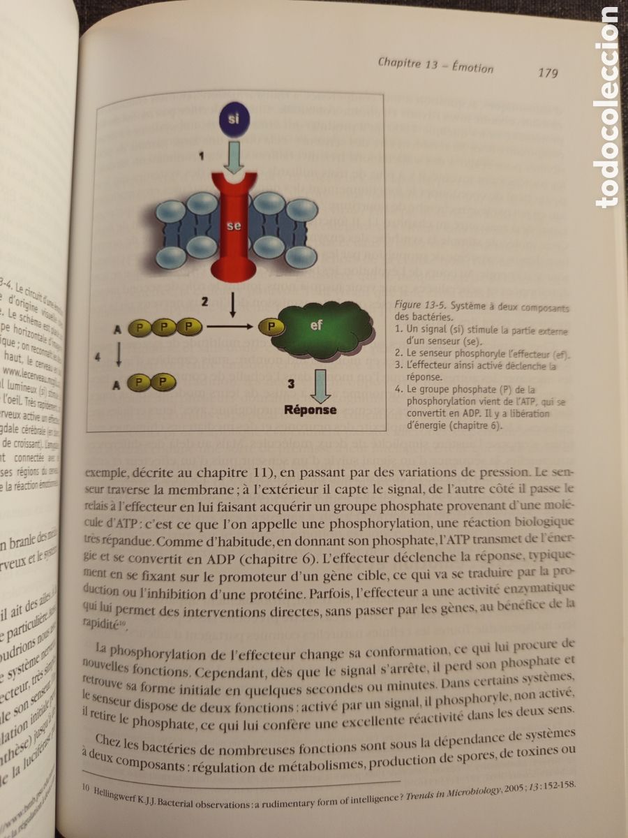 Libros de segunda mano: LE MICROBE INTELLIGENT(JEAN CLAUDE PECHERE) - Foto 4