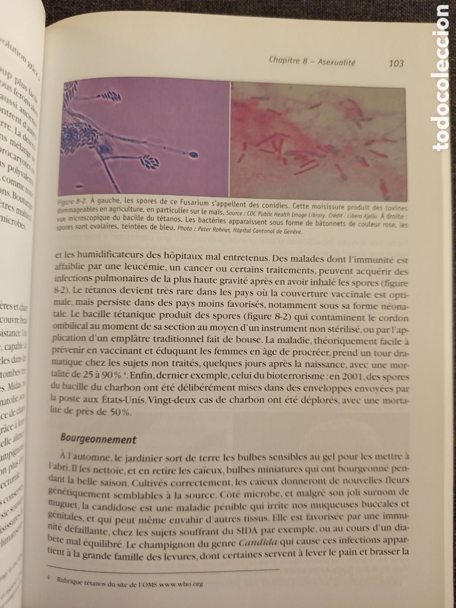 Libros de segunda mano: LE MICROBE INTELLIGENT(JEAN CLAUDE PECHERE) - Foto 6