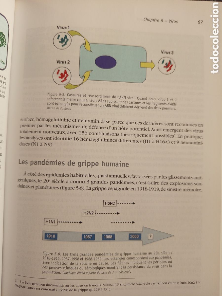 Libros de segunda mano: LE MICROBE INTELLIGENT(JEAN CLAUDE PECHERE) - Foto 8