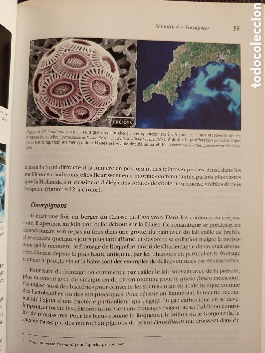 Libros de segunda mano: LE MICROBE INTELLIGENT(JEAN CLAUDE PECHERE) - Foto 9