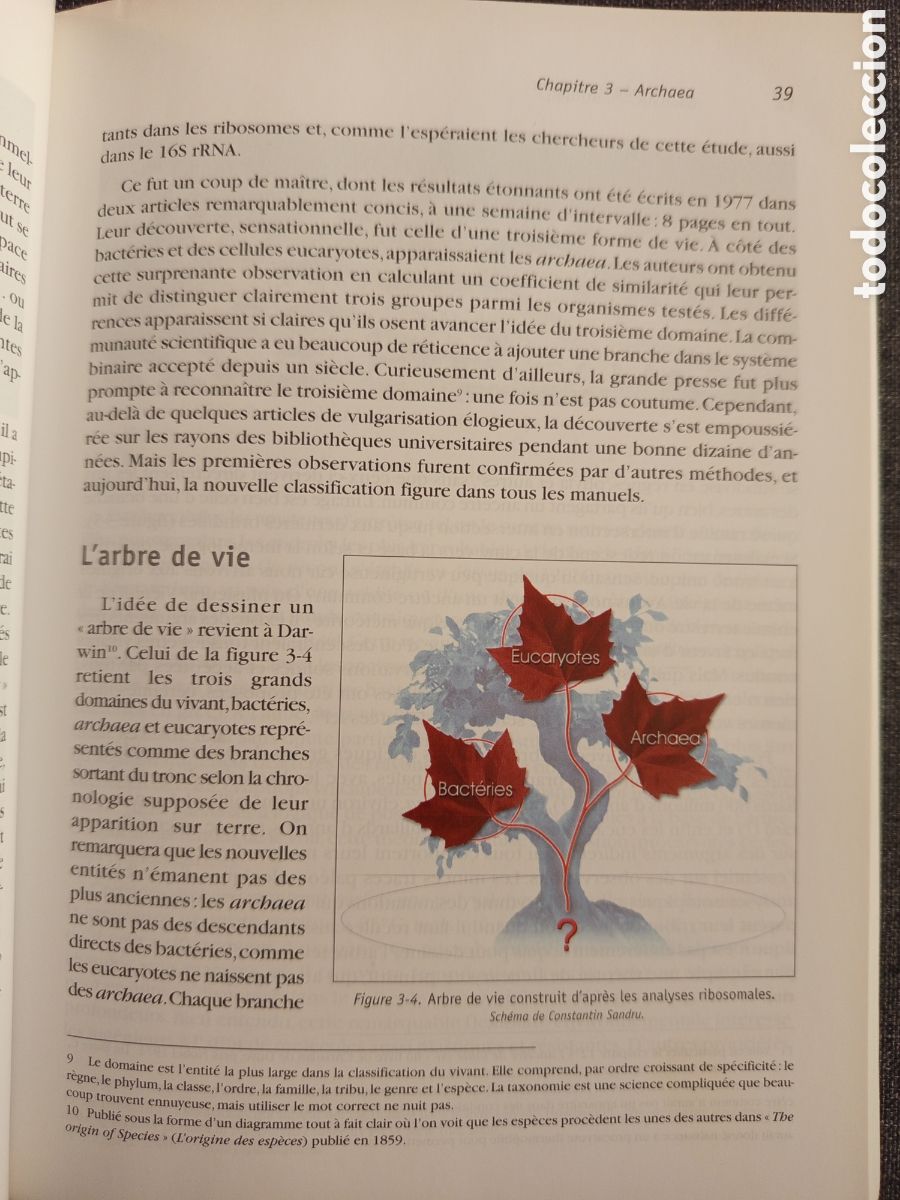 Libros de segunda mano: LE MICROBE INTELLIGENT(JEAN CLAUDE PECHERE) - Foto 10