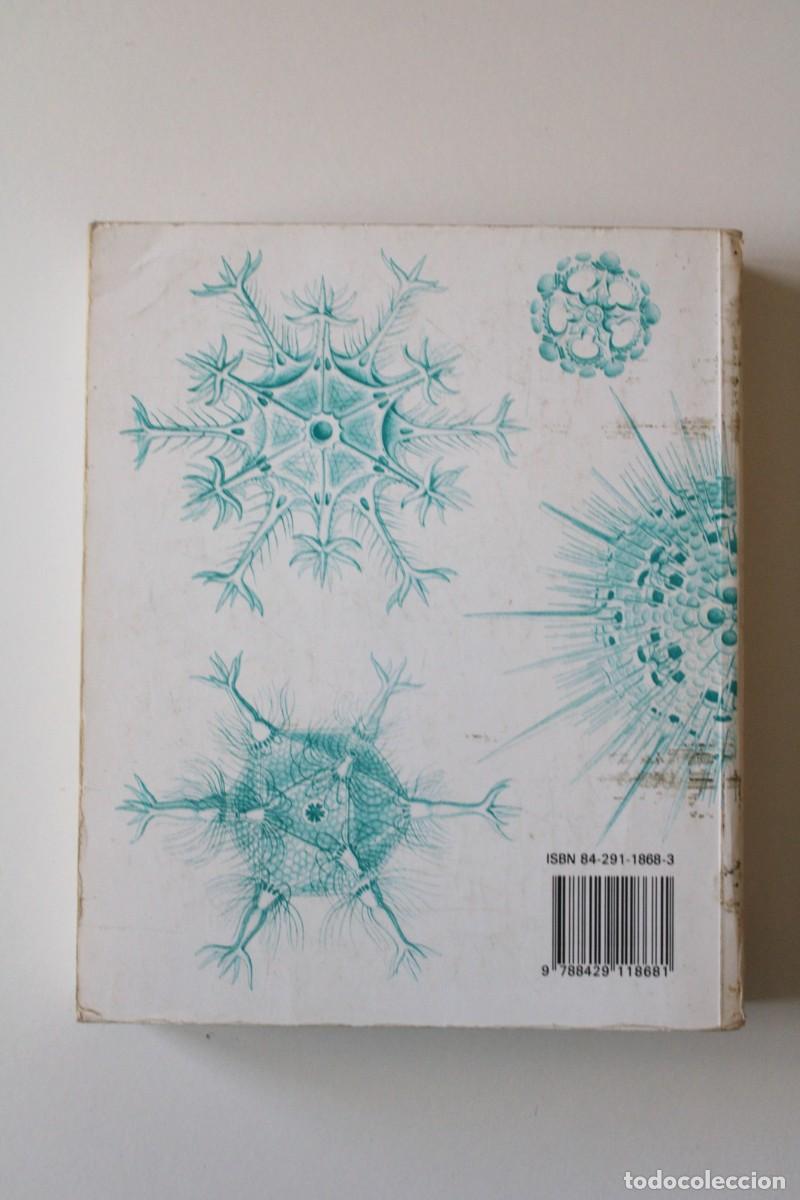 Libros de segunda mano: Microbiolog&iacute;a. 2&ordf; edici&oacute;n. Stanier, Ingraham, Wheelis y Painter - Revert&eacute; - Foto 2