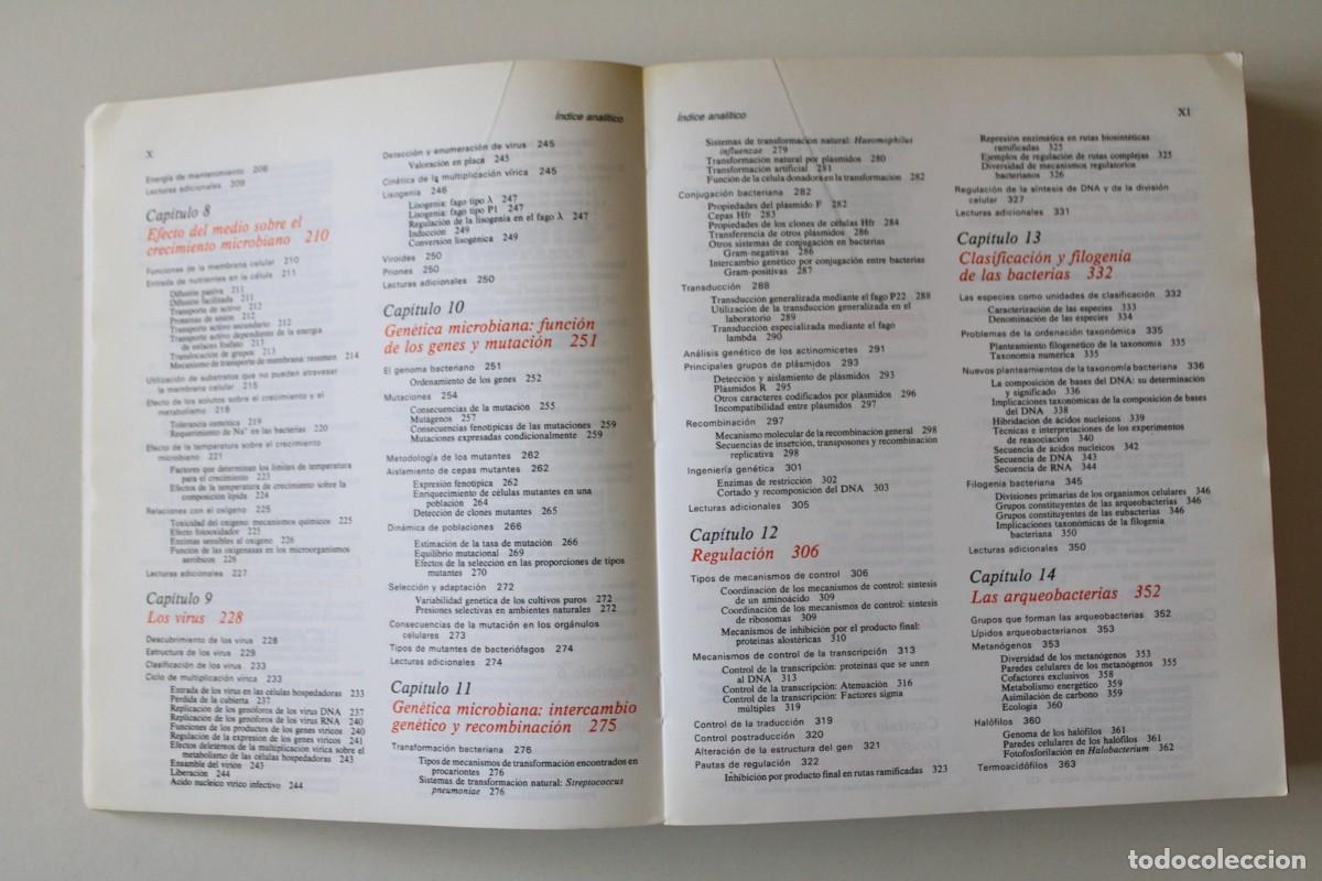 Libros de segunda mano: Microbiolog&iacute;a. 2&ordf; edici&oacute;n. Stanier, Ingraham, Wheelis y Painter - Revert&eacute; - Foto 6