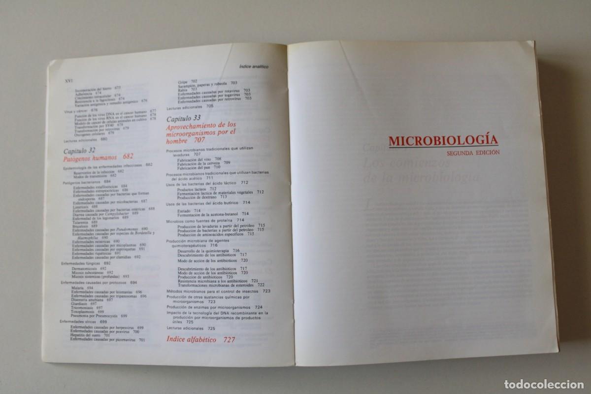 Libros de segunda mano: Microbiolog&iacute;a. 2&ordf; edici&oacute;n. Stanier, Ingraham, Wheelis y Painter - Revert&eacute; - Foto 9