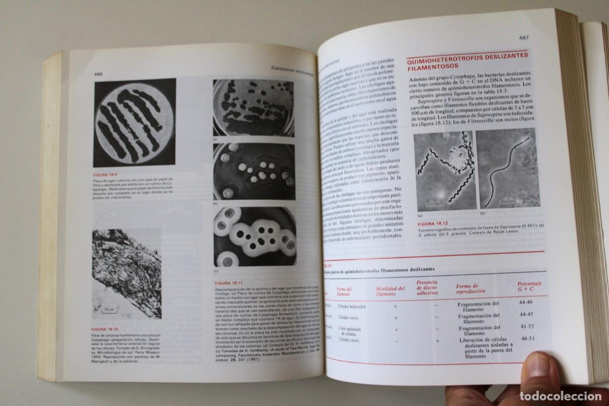 Libros de segunda mano: Microbiolog&iacute;a. 2&ordf; edici&oacute;n. Stanier, Ingraham, Wheelis y Painter - Revert&eacute; - Foto 11