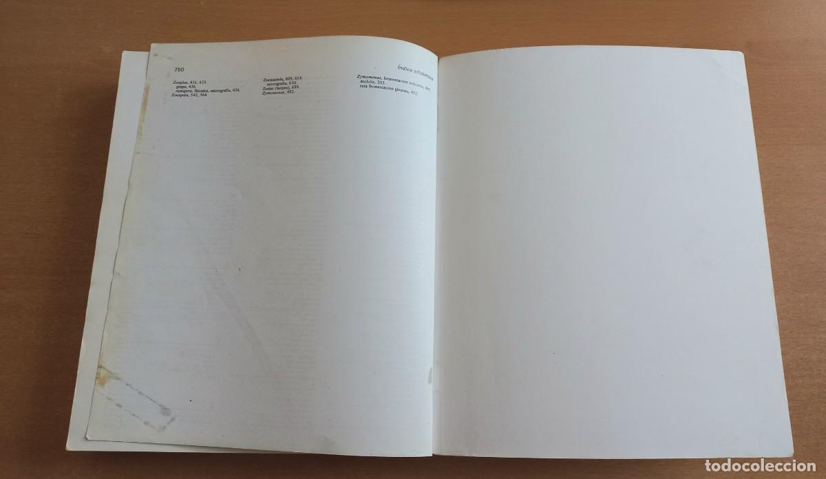 Libros de segunda mano: Microbiolog&iacute;a. 2&ordf; edici&oacute;n. Stanier, Ingraham, Wheelis y Painter - Revert&eacute; - Foto 14