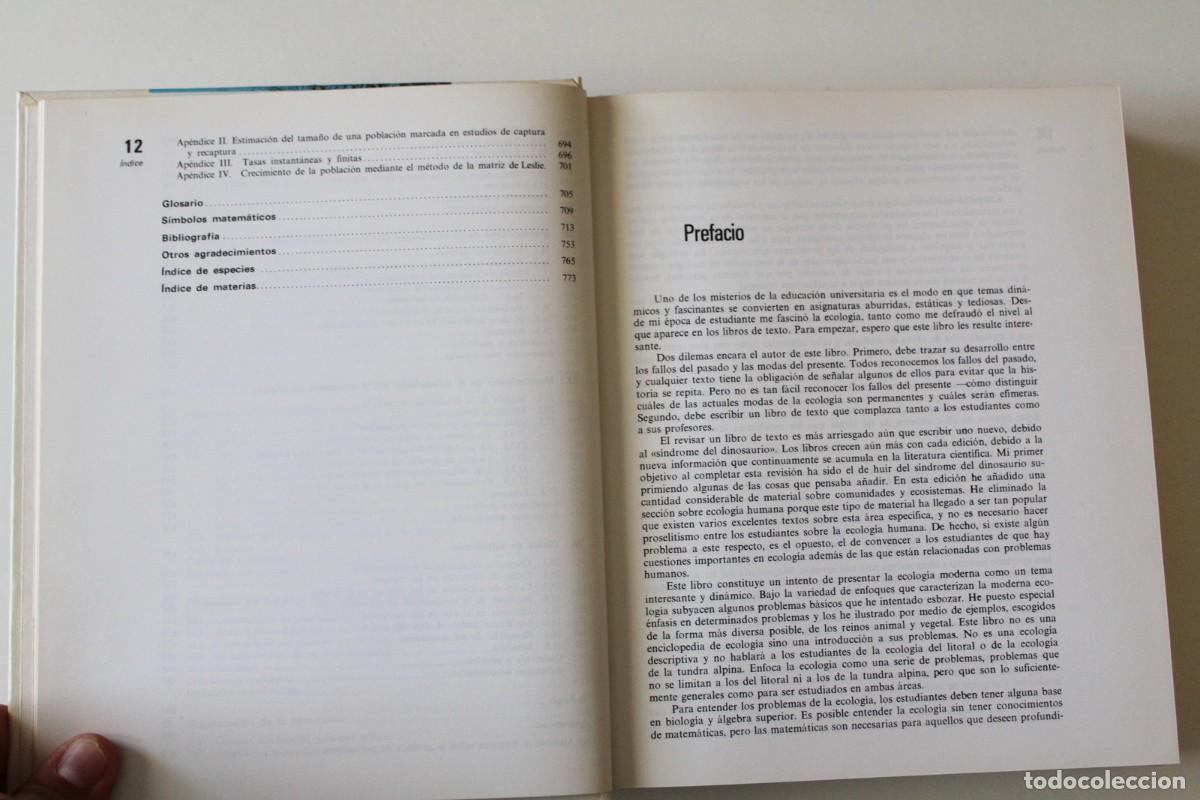 Libros de segunda mano: Charles J. Krebs - Ecolog&iacute;a - Pir&aacute;mide - Foto 8