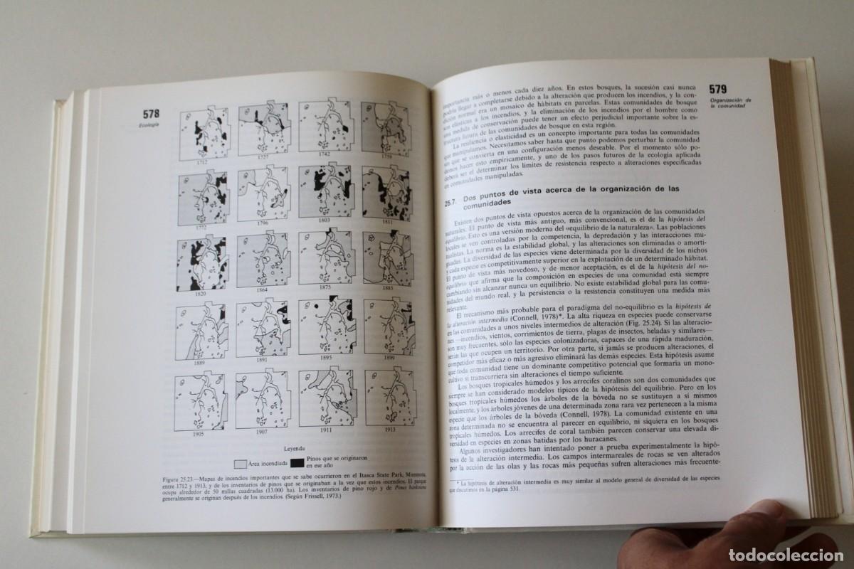 Libros de segunda mano: Charles J. Krebs - Ecolog&iacute;a - Pir&aacute;mide - Foto 9