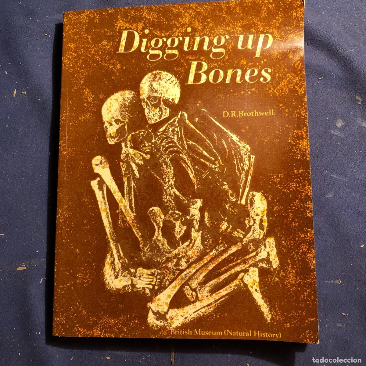 Libros de segunda mano: D.R. BROTHWELL: - DIGGING UP BONES - (1972) - Foto 1