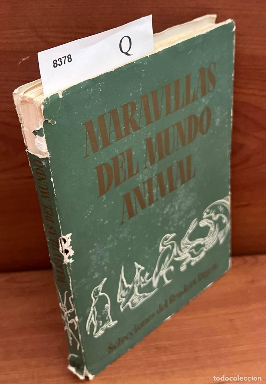 Libri di seconda mano: s.a. - Maravillas del mundo animal.