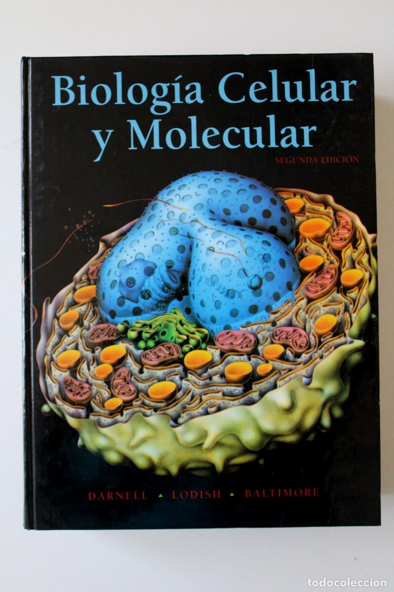 Libros de segunda mano: Biolog&iacute;a celular y molecular. 2&ordf; edici&oacute;n. Darnell, Lodish y Baltimore - - Omega - Foto 1