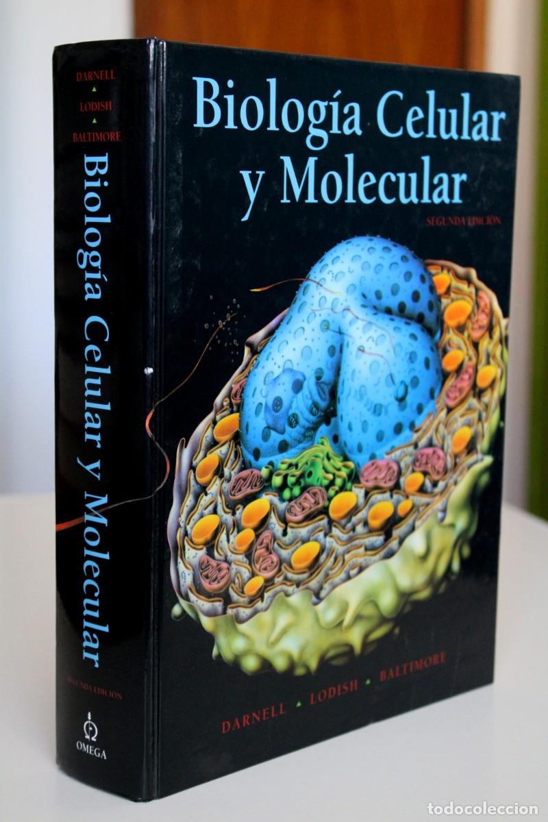 Libros de segunda mano: Biolog&iacute;a celular y molecular. 2&ordf; edici&oacute;n. Darnell, Lodish y Baltimore - - Omega - Foto 3