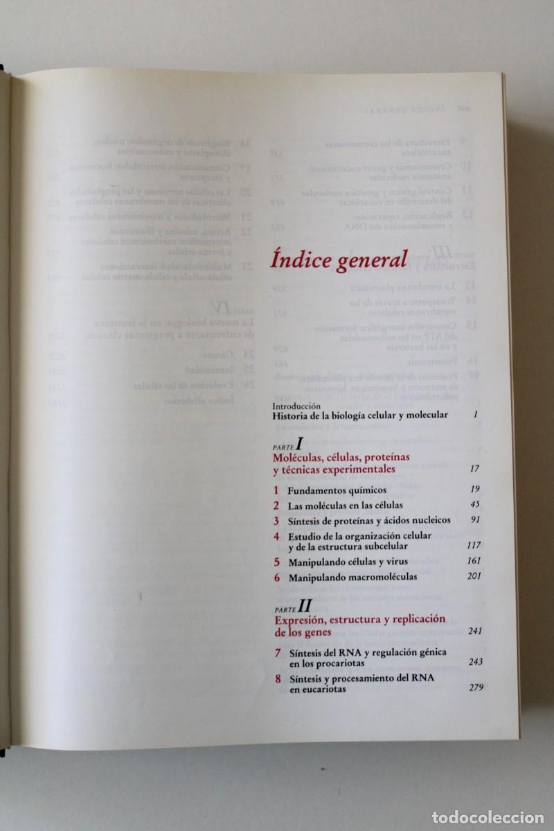 Libros de segunda mano: Biolog&iacute;a celular y molecular. 2&ordf; edici&oacute;n. Darnell, Lodish y Baltimore - - Omega - Foto 4