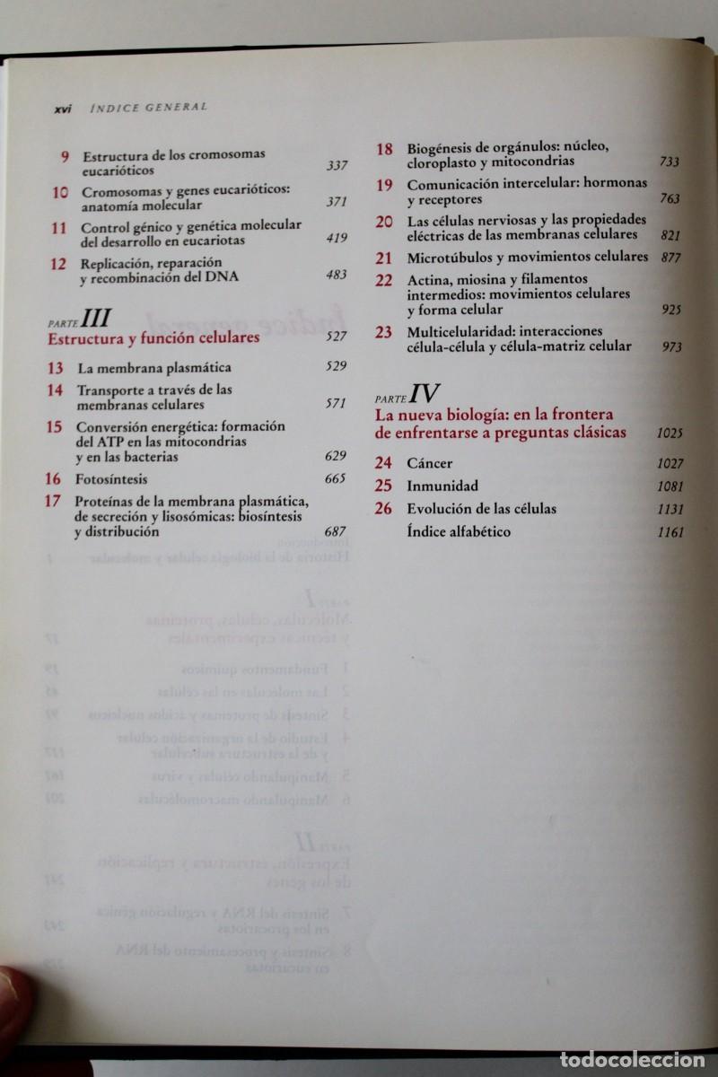 Libros de segunda mano: Biolog&iacute;a celular y molecular. 2&ordf; edici&oacute;n. Darnell, Lodish y Baltimore - - Omega - Foto 5