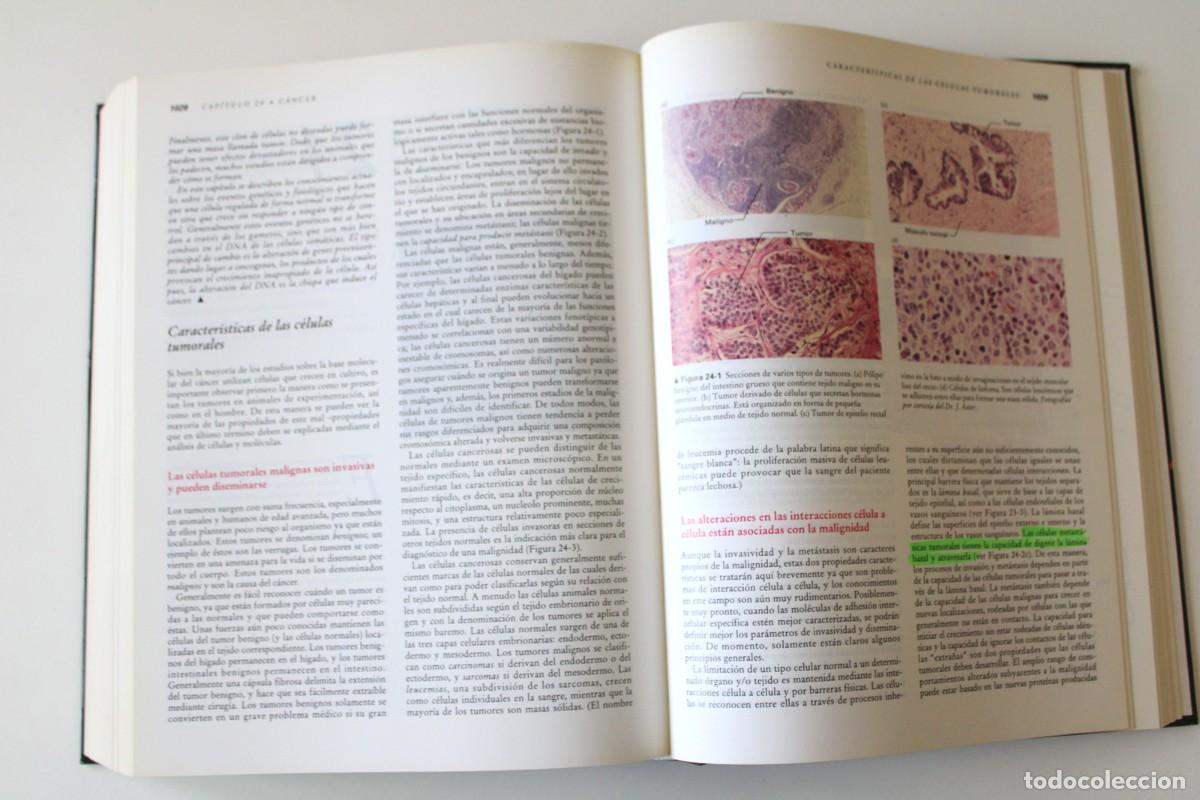 Libros de segunda mano: Biolog&iacute;a celular y molecular. 2&ordf; edici&oacute;n. Darnell, Lodish y Baltimore - - Omega - Foto 8