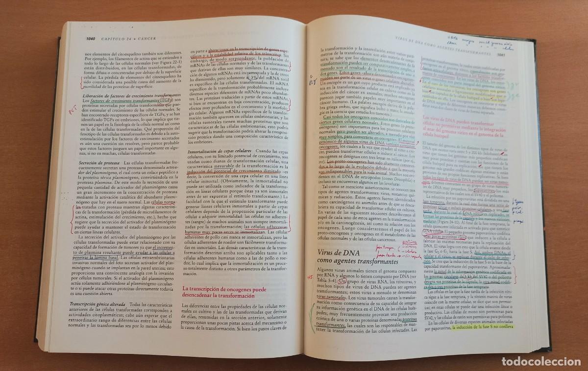Libros de segunda mano: Biolog&iacute;a celular y molecular. 2&ordf; edici&oacute;n. Darnell, Lodish y Baltimore - - Omega - Foto 10