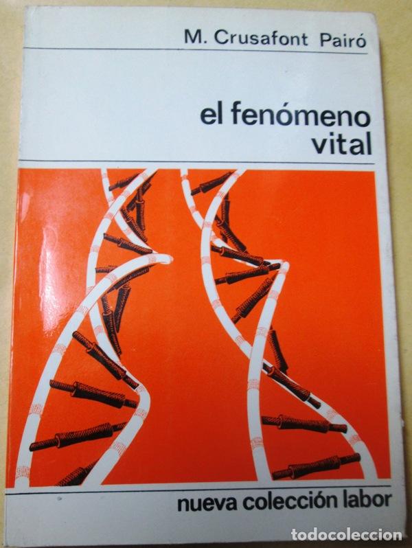 Libros de segunda mano: CRUSAFONT PAIRO, M - EL FENOMENO VITAL - Foto 1