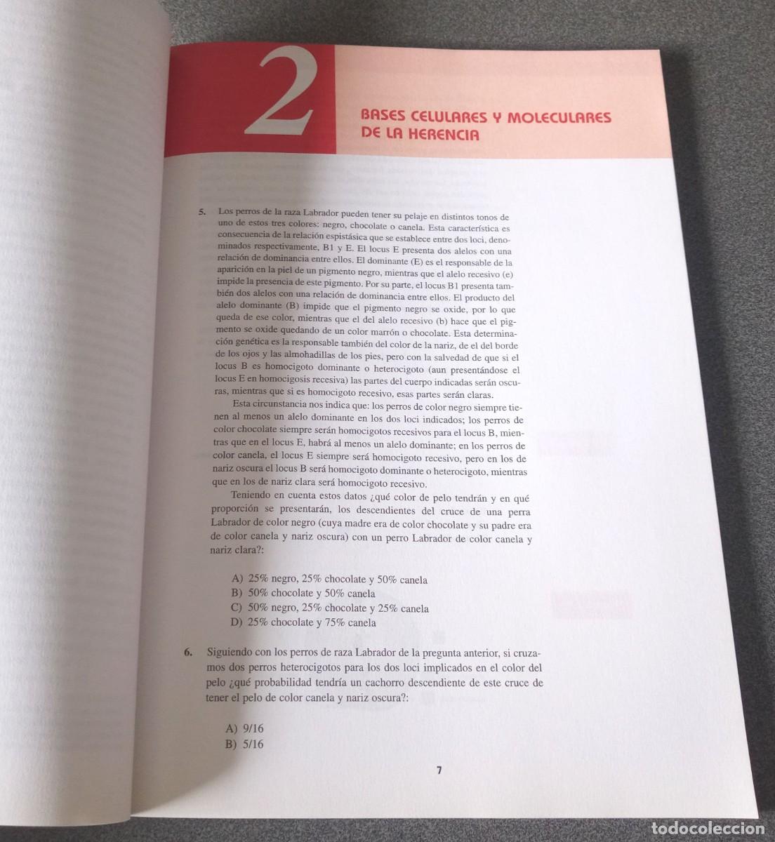 Libros de segunda mano: Pr&aacute;cticas De Fundamentos Biol&oacute;gicos De La Conducta - Foto 7