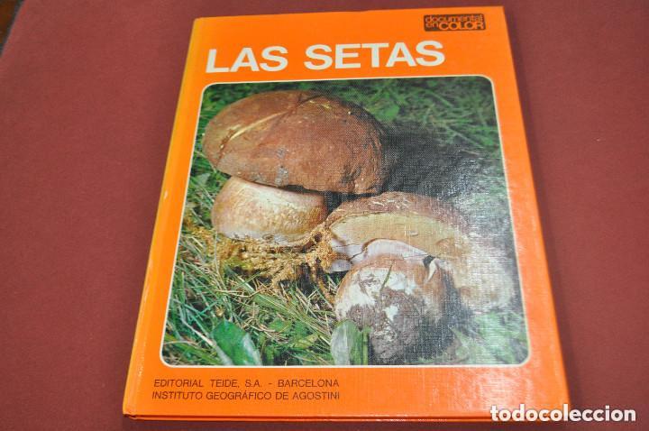 Libros de segunda mano: Las setas - Editorial Teide - DOCUMENTAL EN COLOR - Foto 1