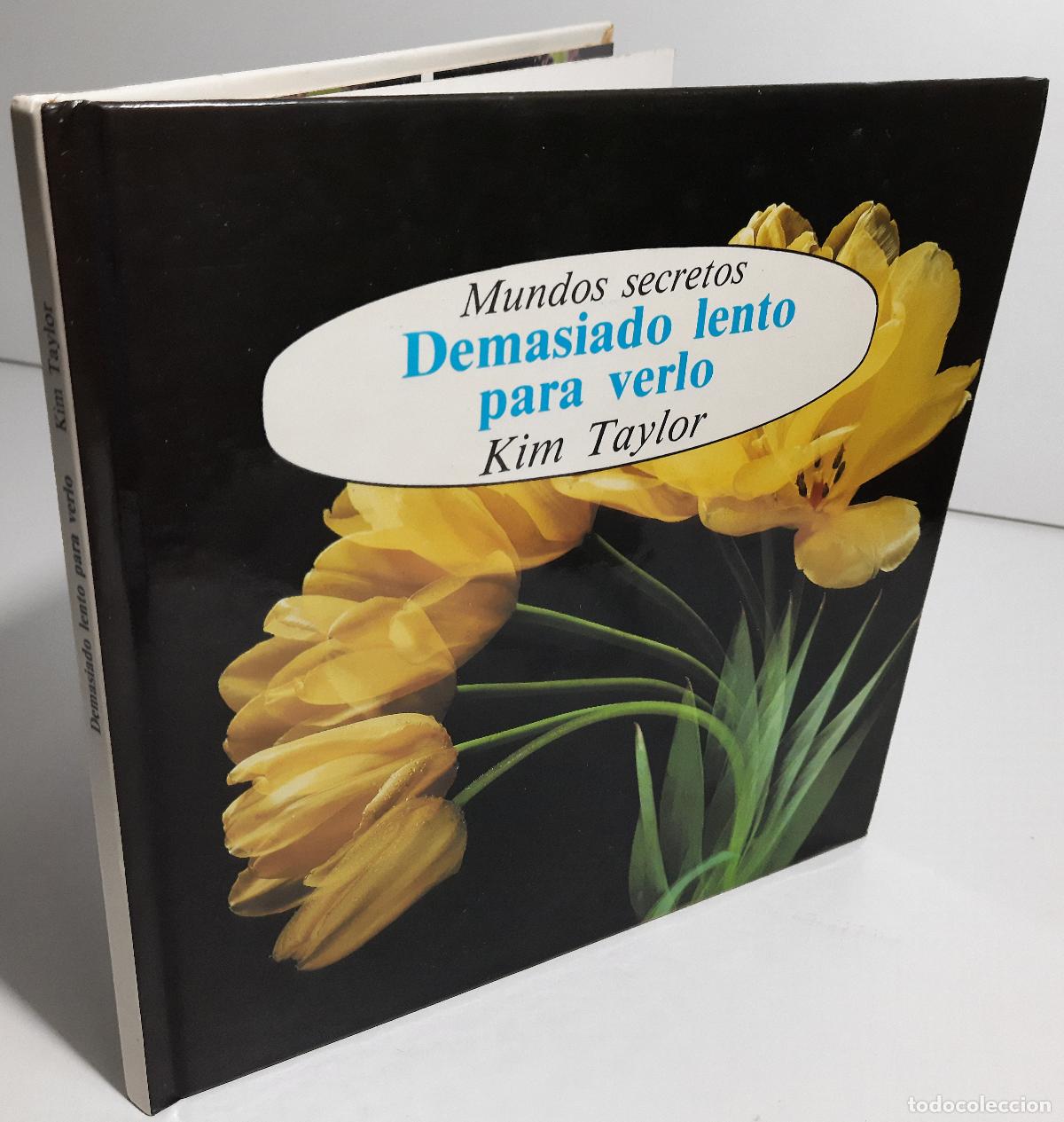 Libros de segunda mano: Demasiado lento para verlo - Taylor, Kim - Foto 2