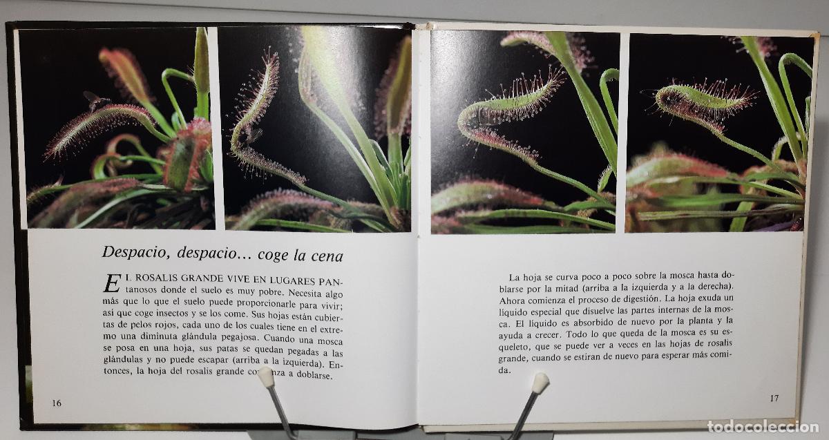 Libros de segunda mano: Demasiado lento para verlo - Taylor, Kim - Foto 3