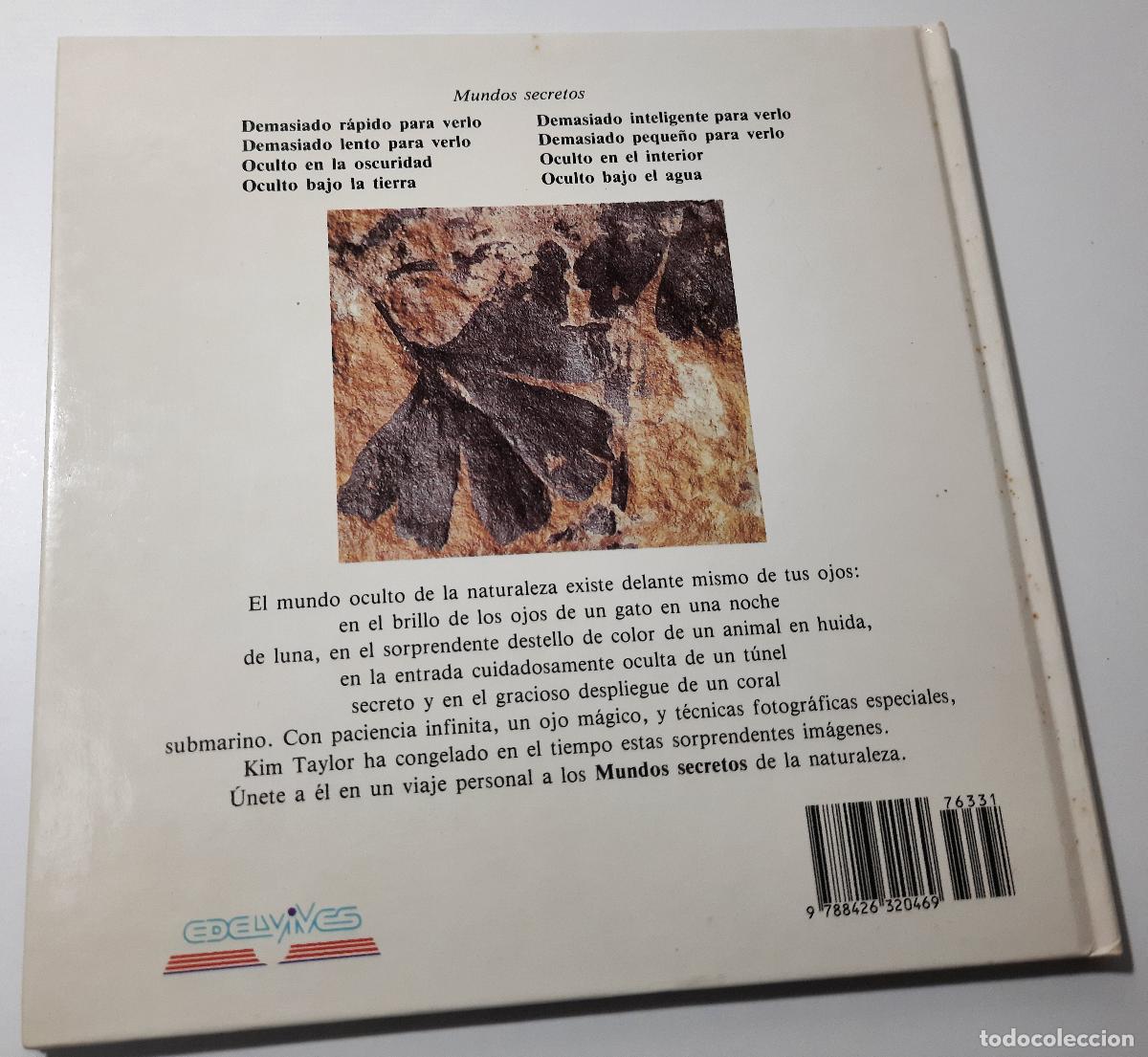 Libros de segunda mano: Demasiado lento para verlo - Taylor, Kim - Foto 4