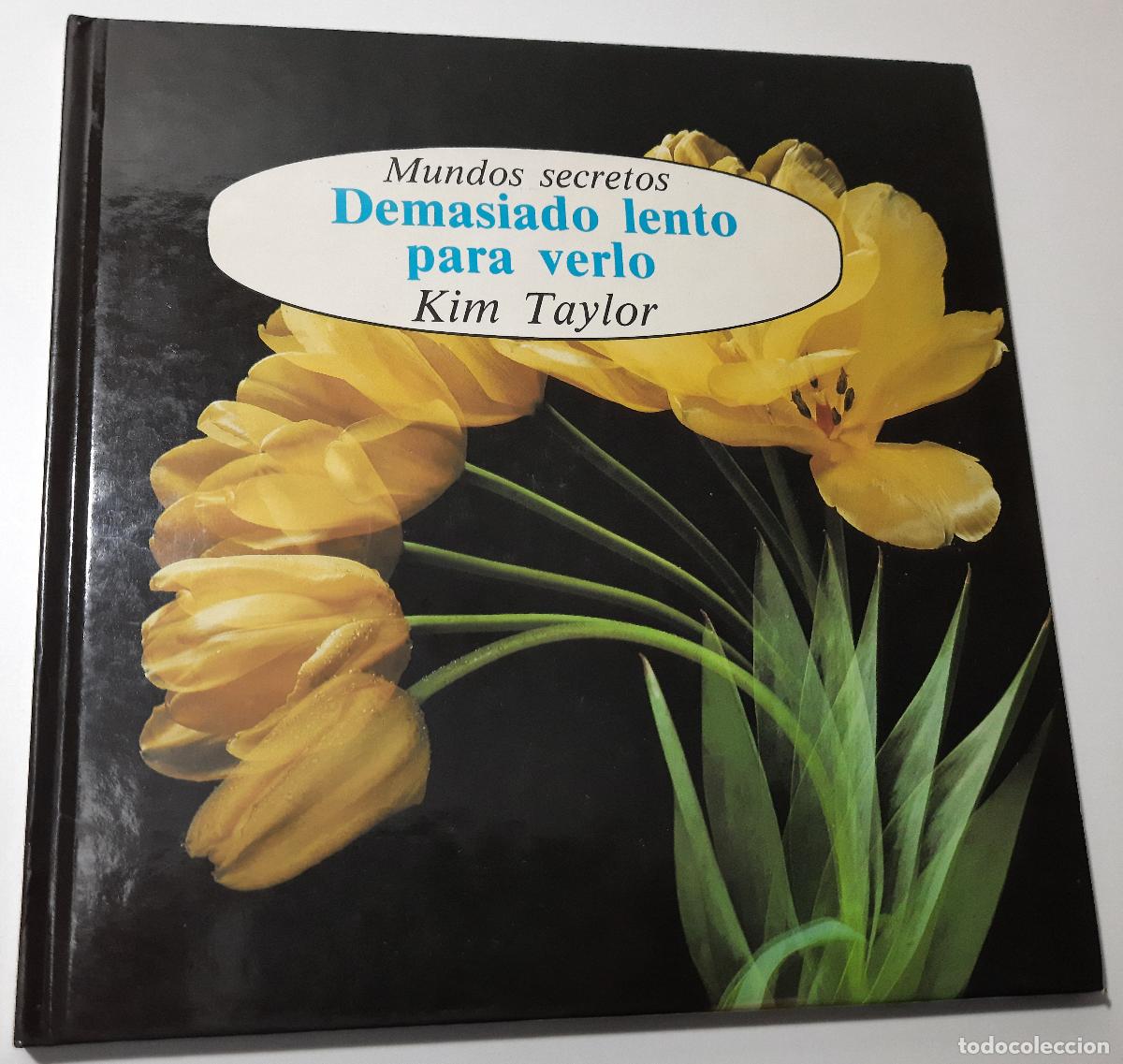 Libros de segunda mano: Demasiado lento para verlo - Taylor, Kim - Foto 1