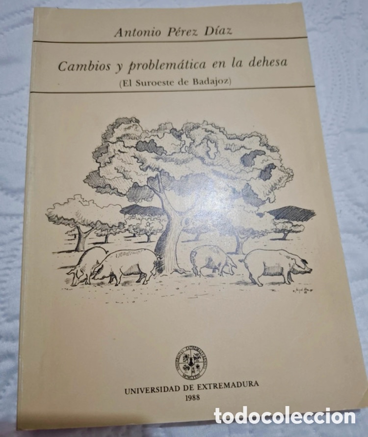 Libros de segunda mano: Cambios y Problem&aacute;tica en la Dehesa. - Foto 1