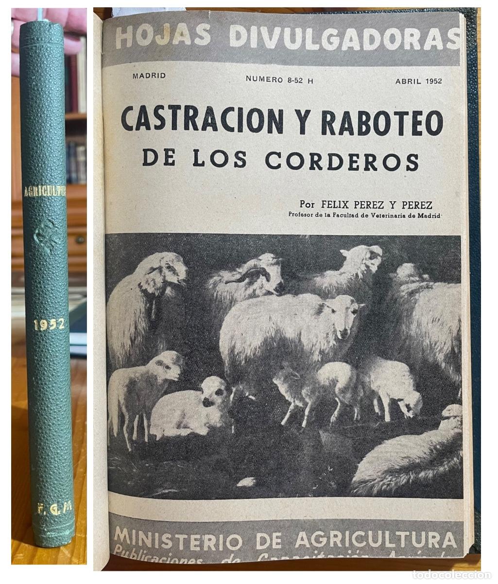 Libri di seconda mano: HOJAS DIVULGADORAS- AGRICULTURA- GANADER&Iacute;A ETC- A&Ntilde;O 1952 COMPLETO