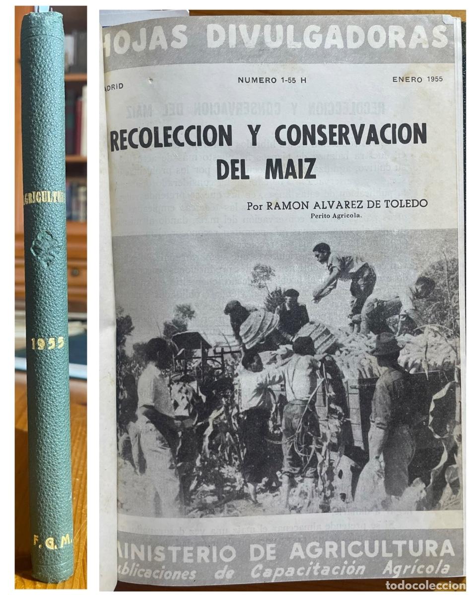 Libri di seconda mano: HOJAS DIVULGADORAS- AGRICULTURA- GANADER&Iacute;A ETC- A&Ntilde;O 1955 COMPLETO