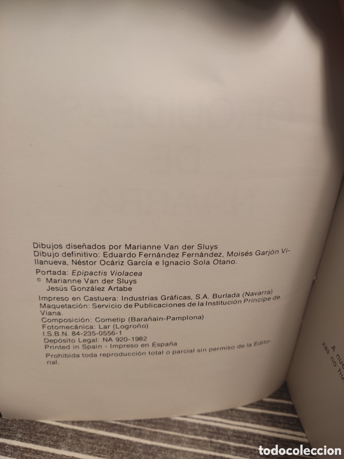 Libros de segunda mano: Orqu&iacute;deas de Navarra - Foto 2