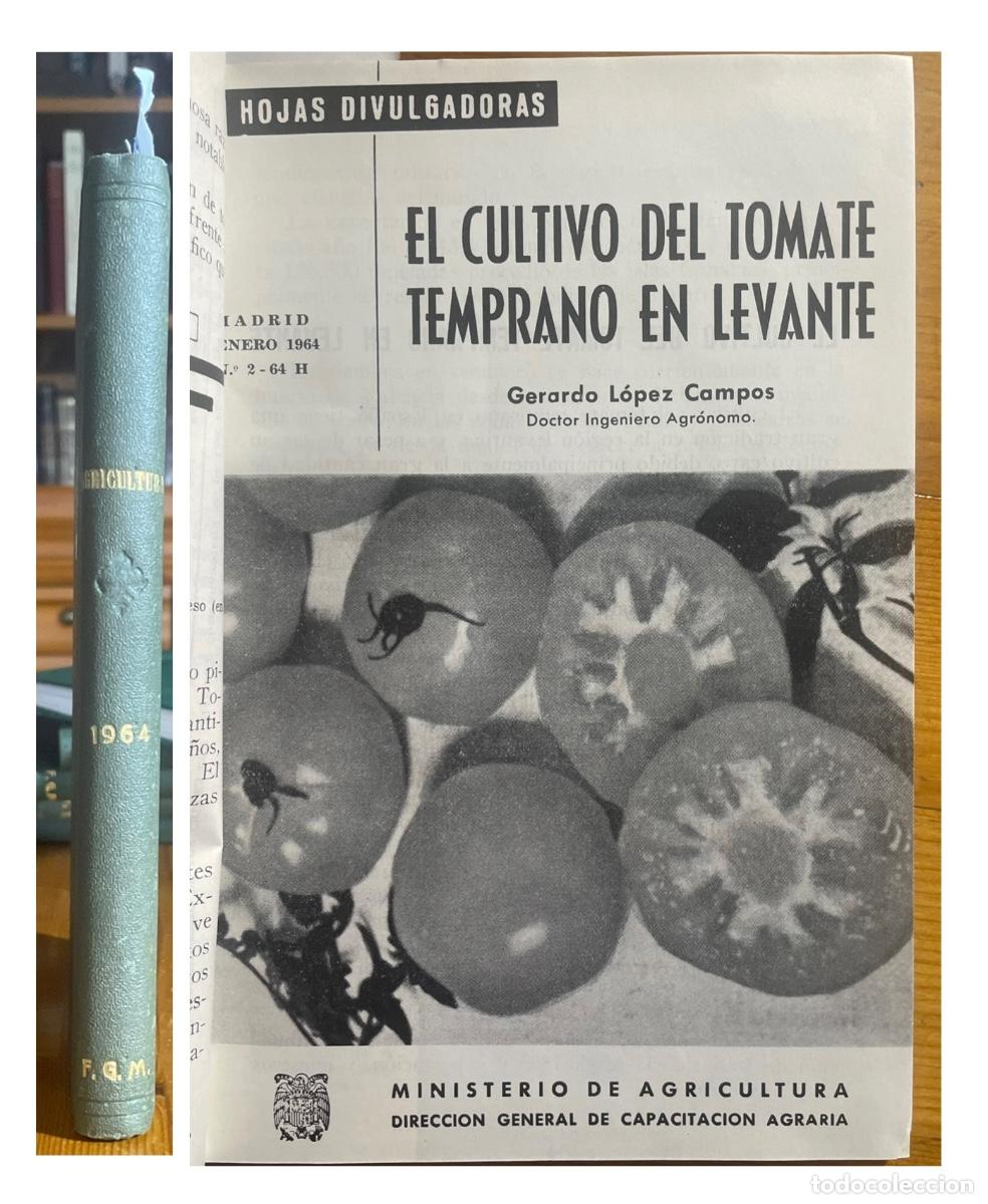 Gebrauchte B&uuml;cher: HOJAS DIVULGADORAS- AGRICULTURA- GANADER&Iacute;A ETC- A&Ntilde;O 1964 COMPLETO