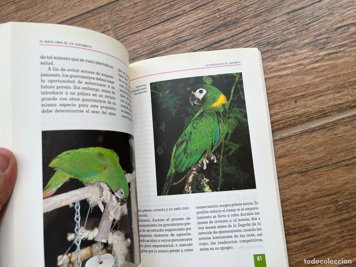 Libros de segunda mano: EL NUEVO LIBRO DE LOS GUACAMAYOS / EDITORIAL TIKAL - Foto 6