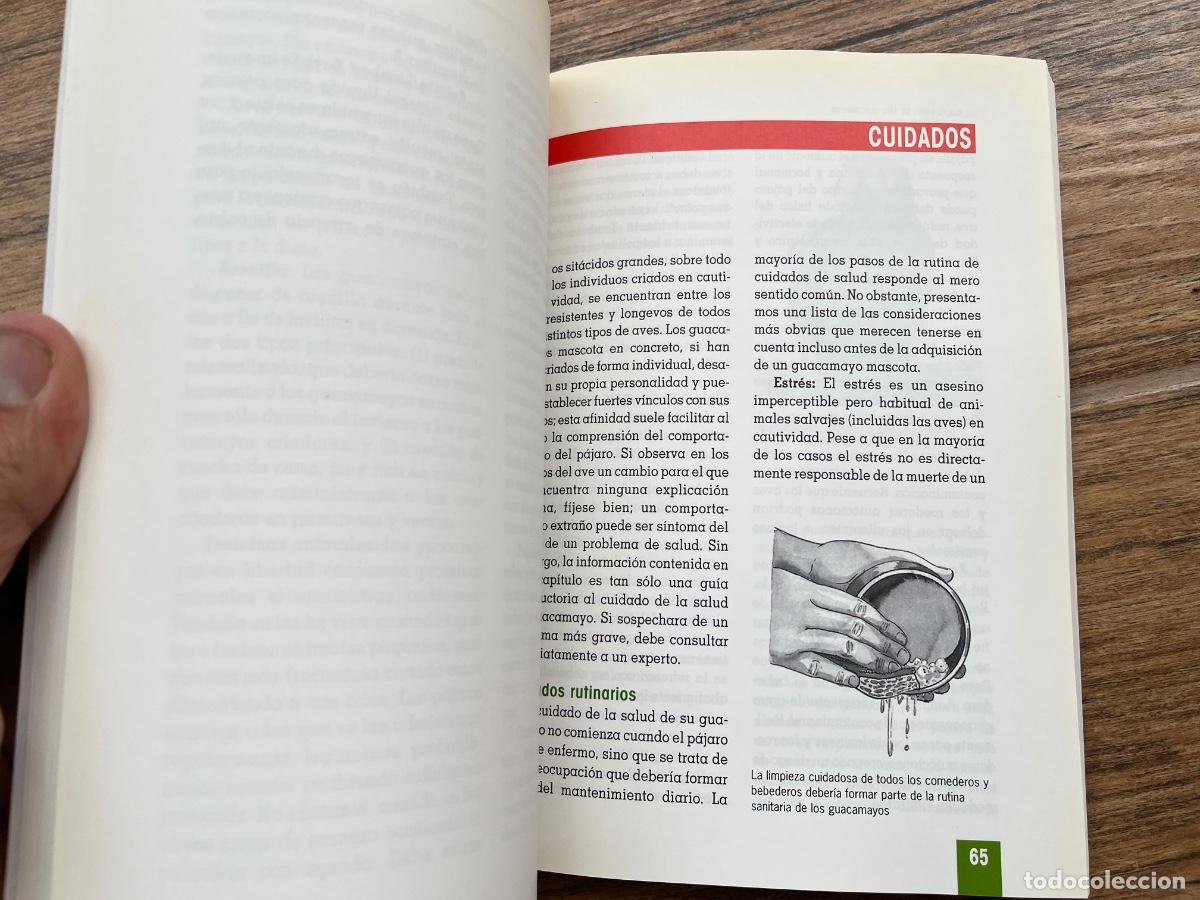 Libros de segunda mano: EL NUEVO LIBRO DE LOS GUACAMAYOS / EDITORIAL TIKAL - Foto 7