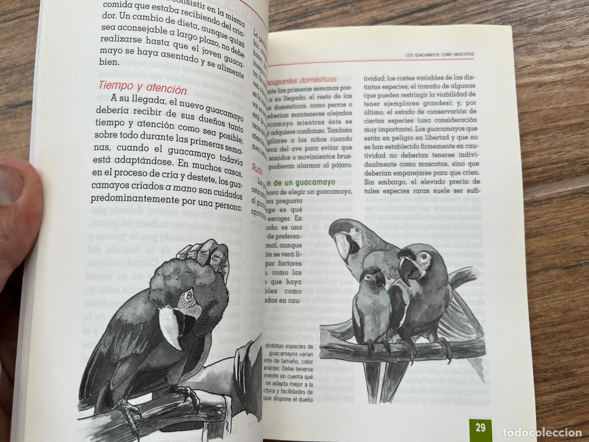 Libros de segunda mano: EL NUEVO LIBRO DE LOS GUACAMAYOS / EDITORIAL TIKAL - Foto 8