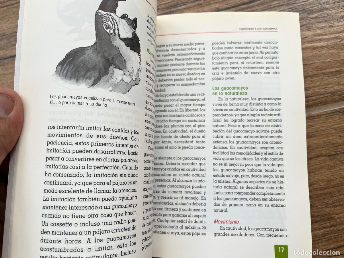 Libros de segunda mano: EL NUEVO LIBRO DE LOS GUACAMAYOS / EDITORIAL TIKAL - Foto 9
